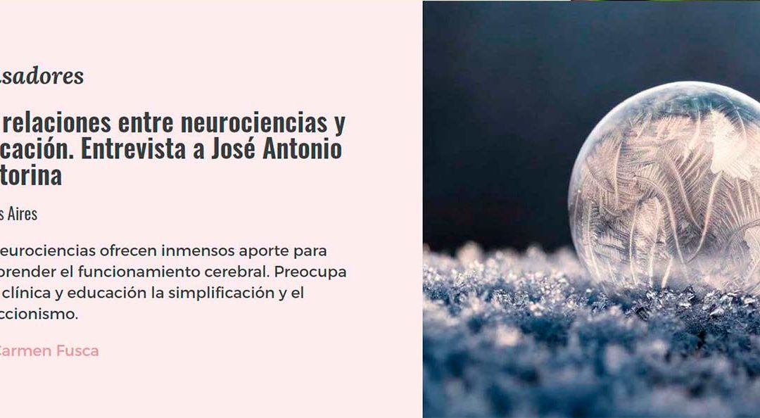 Las relaciones entre neurociencias y educación. Entrevista a José Antonio Castorina